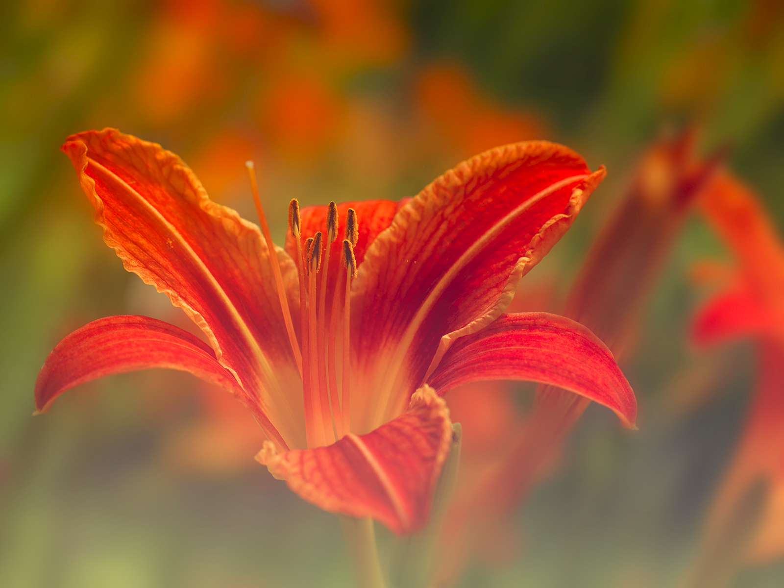 raP | Personal | Nature